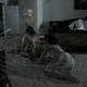 Illustration for article titled Dog Versus Zombie Sex Slave In New Deadgirl Clip Plus A Human Centipede
